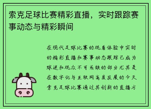 索克足球比赛精彩直播，实时跟踪赛事动态与精彩瞬间